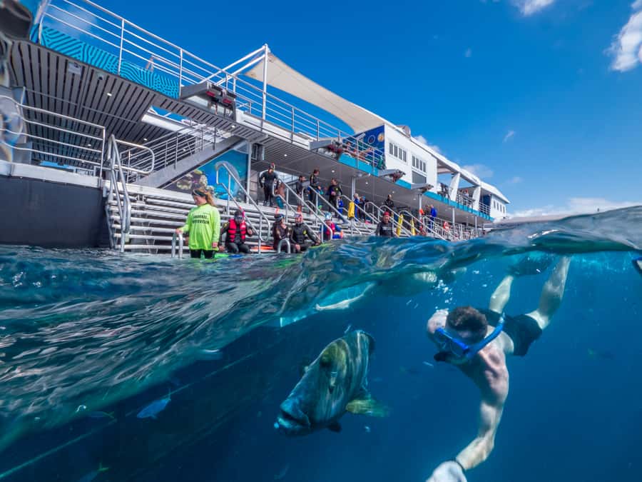 Cairns: Great Barrier Reef Pontoon with Water Activities - Lunch, snacks, and keeping energy up on the water
