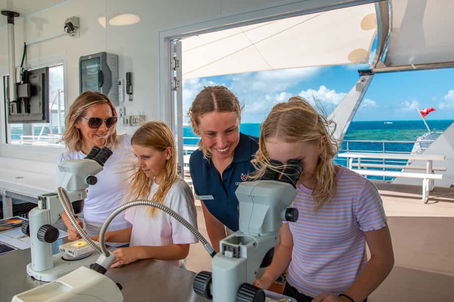 Cairns: Great Barrier Reef Pontoon with Water Activities - Price and value: is $222 for 8 hours reasonable?