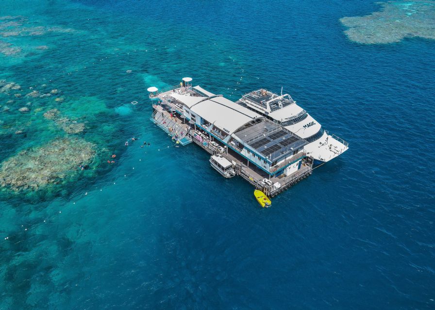 Cairns: Great Barrier Reef Pontoon with Water Activities - Who this pontoon day is best for, and who should skip it
