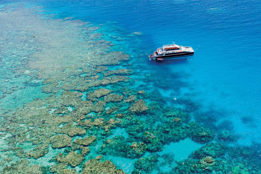 Cairns: Great Barrier Reef Premium Diving Full Day Tour - Key things to know before you go