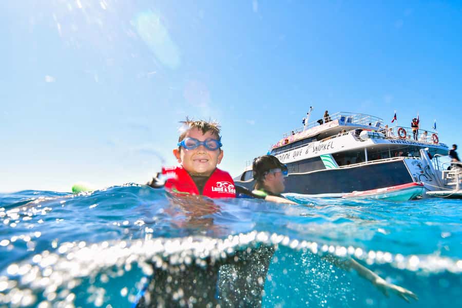 Cairns: Great Barrier Reef Premium Diving Full Day Tour - My honest verdict: should you book Dreamtime Dive & Snorkel?