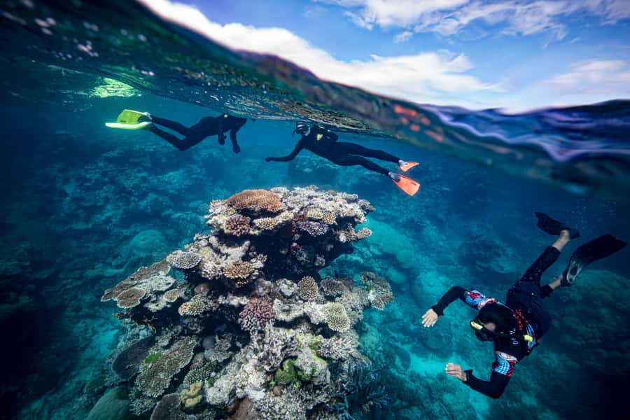 Cairns: Great Barrier Reef Premium Diving Full Day Tour - The indigenous welcome: reef meaning beyond the fish
