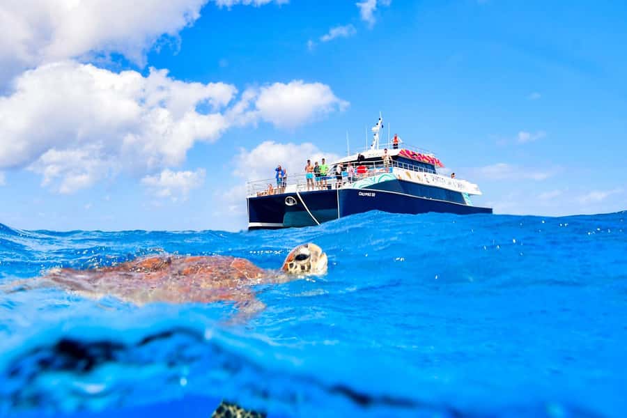 Cairns: Great Barrier Reef Premium Diving Full Day Tour - Who should book this reef day, and who should skip