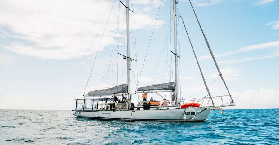 Cairns: Green Island & Great Barrier Reef Sailing Tour - Optional Scuba: Small Groups and Beginner-Friendly Choices