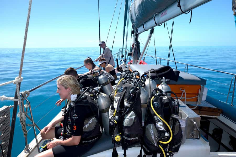 Cairns: Green Island & Great Barrier Reef Sailing Tour - Green Island Time: Beach Rest, Walks, and Paid-On-Island Options