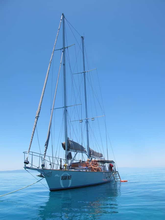 Cairns: Green Island & Great Barrier Reef Sailing Tour - The Sail Home: Wind-Driven Return and Sunset Vibes
