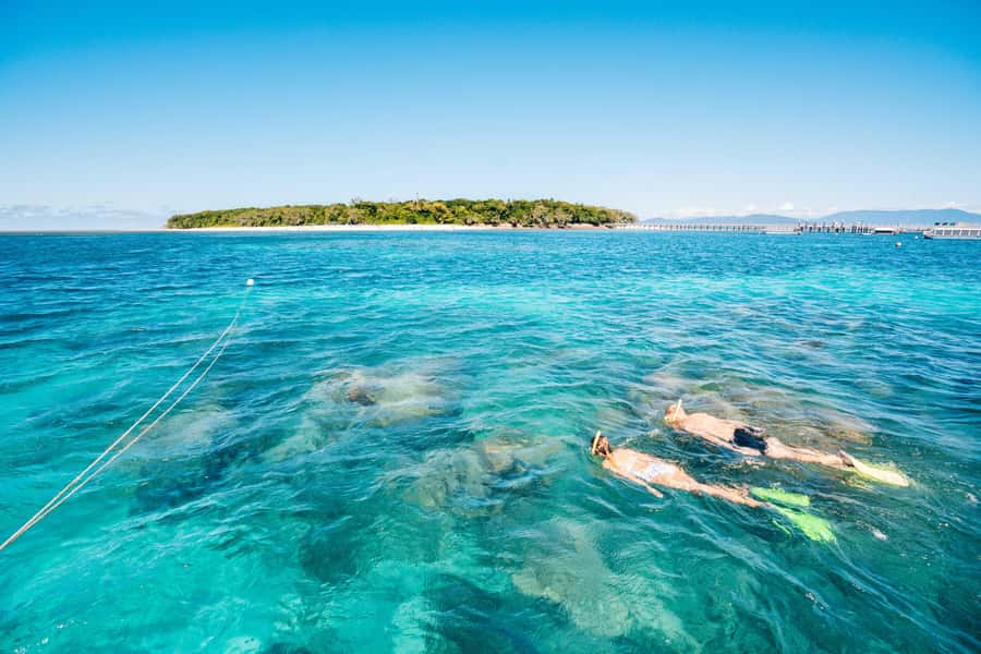Cairns: Green Island Snorkelling or Glass Bottom Boat - Your reef viewing choice: glass bottom boat or snorkelling gear