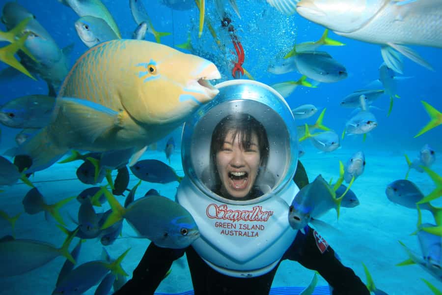 Cairns: Green Island Snorkelling or Glass Bottom Boat - The island walk: short, self-guided, and built for nature spotting