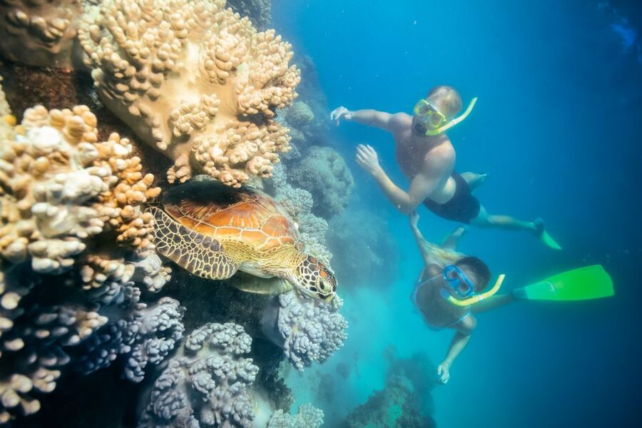 Cairns: Green Island Snorkelling or Glass Bottom Boat - Should you book this Cairns to Green Island snorkelling or glass boat trip?