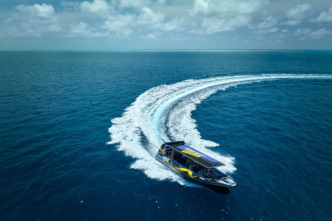 Cairns Half Day Tour a Great Barrier Reef Snorkeling Experience - Key things that make this reef snorkeling tour work