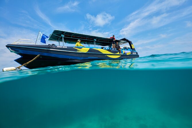Cairns Half Day Tour a Great Barrier Reef Snorkeling Experience - Snacks, drinks, and what to bring mentally