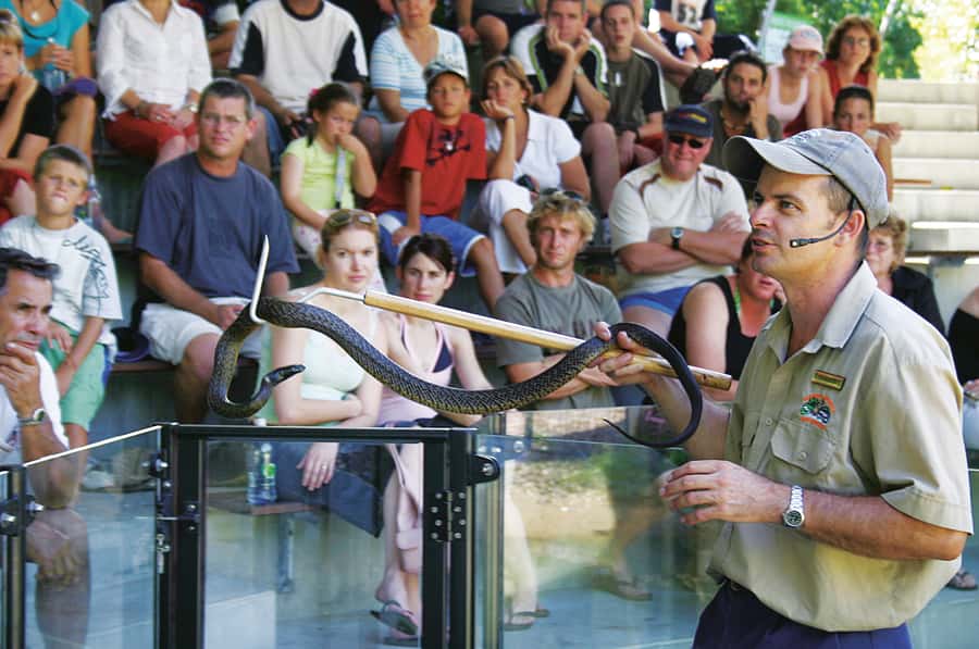 Cairns: Hartley's Crocodile Adventures Visit with Transfer - Key Things I’d Zoom In On