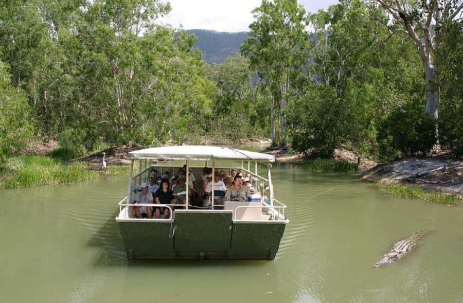 Cairns: Hartley's Crocodile Adventures Visit with Transfer - A Half-Day That Actually Feels Like a Plan