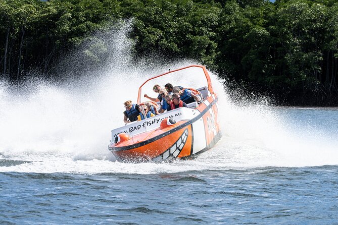 Cairns Jet Boat Ride - Wildlife spotting with crocs in mind, but with the right expectations