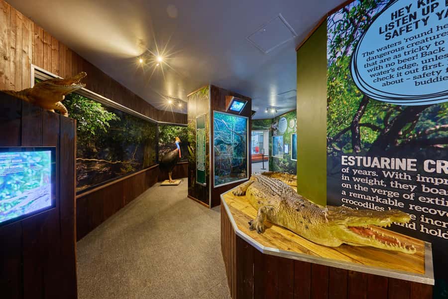 Cairns Koalas and Creatures Entry Ticket with Koala Photo - Reef-themed zone: Great Barrier Reef in Cairns
