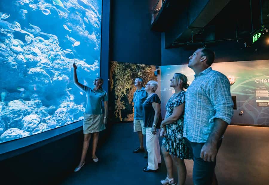 Cairns: Night at the Aquarium Guided Tour & 2 Course Dinner - Key points to know before you go