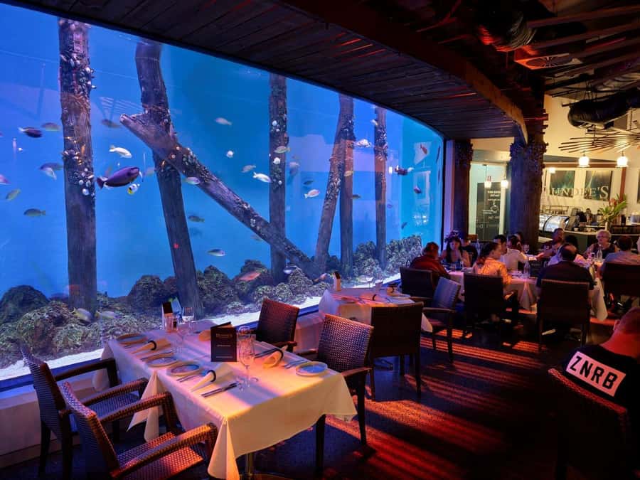 Cairns: Night at the Aquarium Guided Tour & 2 Course Dinner - A night aquarium tour that follows the reef’s real timetable