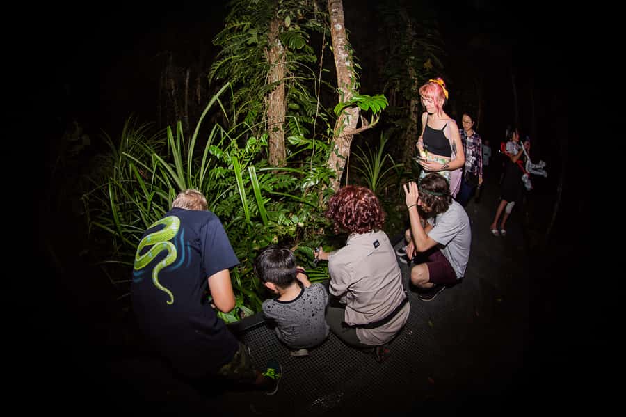 Cairns: Night Walk in Cairns Botanic Gardens - Who Should Book, and Who Might Prefer Something Else