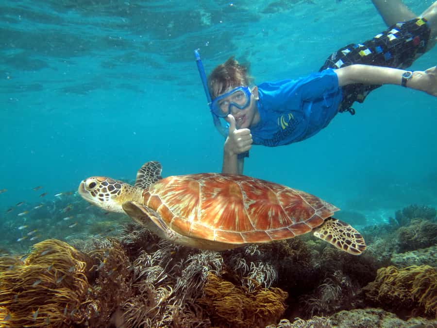 Cairns: Ocean Spirit Great Barrier Reef Full Day Tour - Ocean Spirit Catamaran Out of Cairns, What You Really Get
