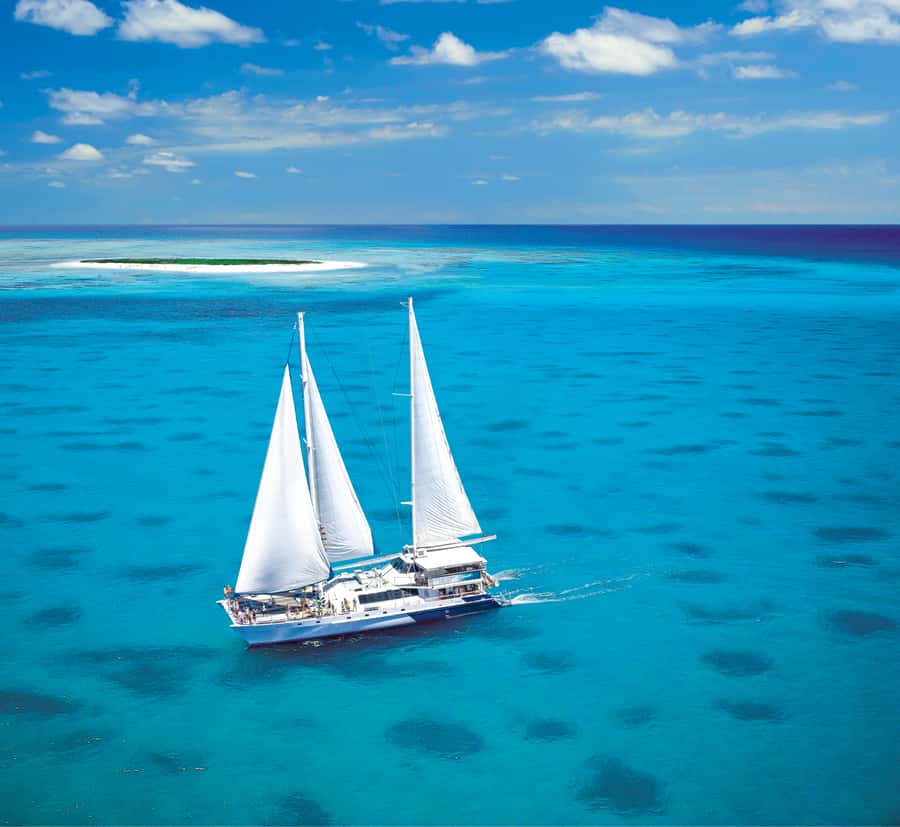Cairns: Ocean Spirit Great Barrier Reef Full Day Tour - Marine Biologist Time: Turning Reef Sight into Real Meaning