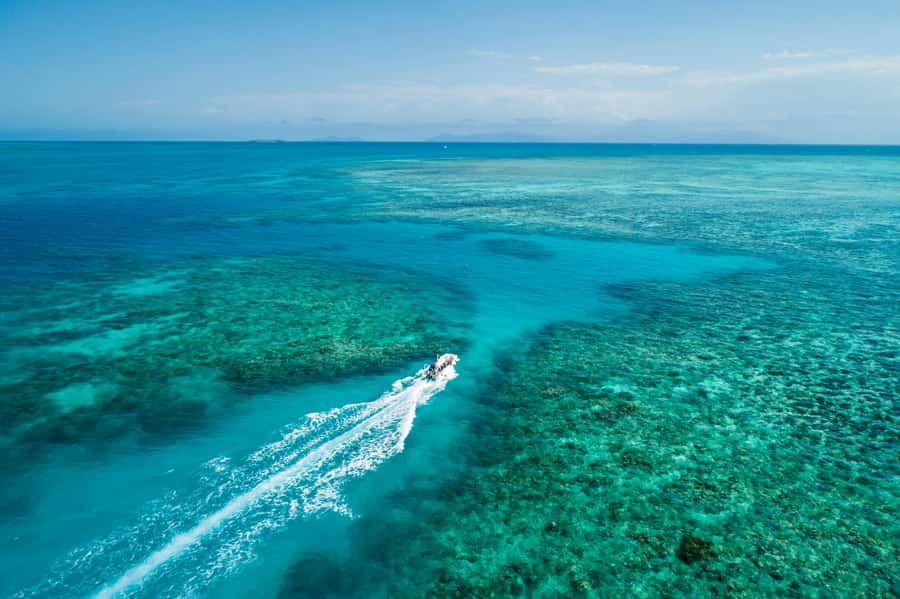 Cairns: Outer and Coral Cay Snorkel and Dive Cruise - Key things I’d circle before you book