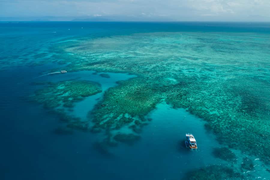 Cairns: Outer and Coral Cay Snorkel and Dive Cruise - Price and value: why $183 can make sense for this much reef time