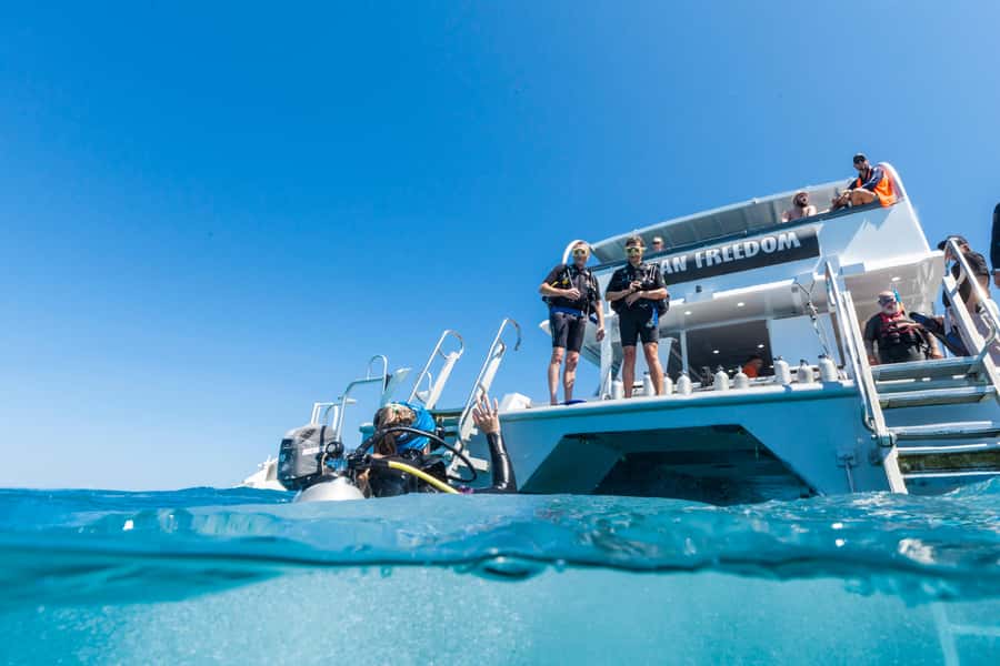 Cairns: Outer and Coral Cay Snorkel and Dive Cruise - What the guides do that makes or breaks your day