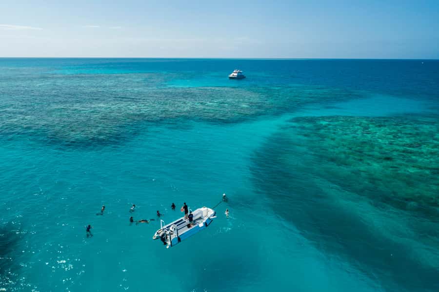 Cairns: Outer and Coral Cay Snorkel and Dive Cruise - The fast 20m catamaran routine: coffee first, reef second
