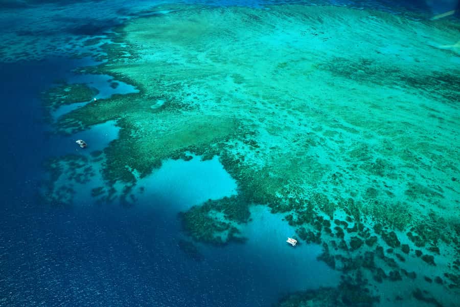 Cairns: Outer Edges of The Great Barrier Reef Scenic Flight - Outer Edges of The Great Barrier Reef Scenic Flight: Key Points