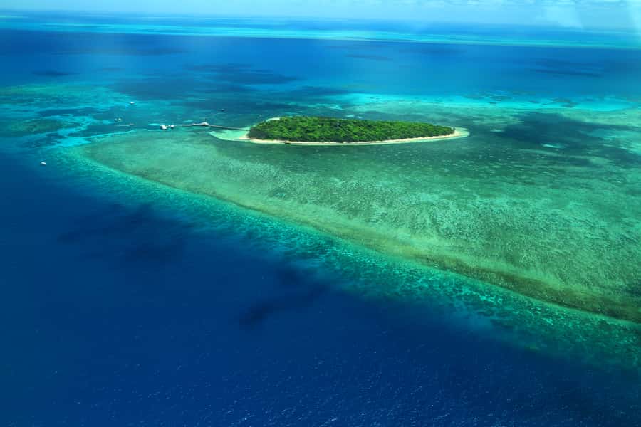 Cairns: Outer Edges of The Great Barrier Reef Scenic Flight - The Real Appeal of a Reef Flight From Cairns