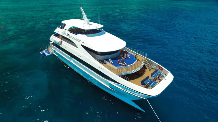 Cairns: Outer Great Barrier Reef Full-Day Tour with Lunch - Saxon Reef: your first big-water snorkeling test