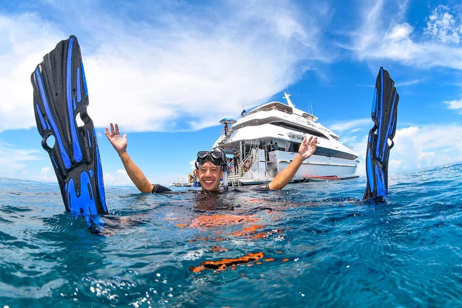 Cairns: Outer Great Barrier Reef Full-Day Tour with Lunch - Cairns to the Outer Reef: the morning cruise and what it’s for