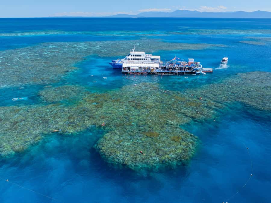Cairns: Outer Great Barrier Reef Pontoon with Activities - Key highlights on the Moore Reef pontoon day