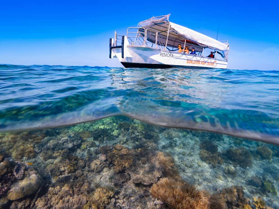 Cairns: Outer Great Barrier Reef Pontoon with Activities - Glass-bottom boat and semi-submersible tours for non-swimmers