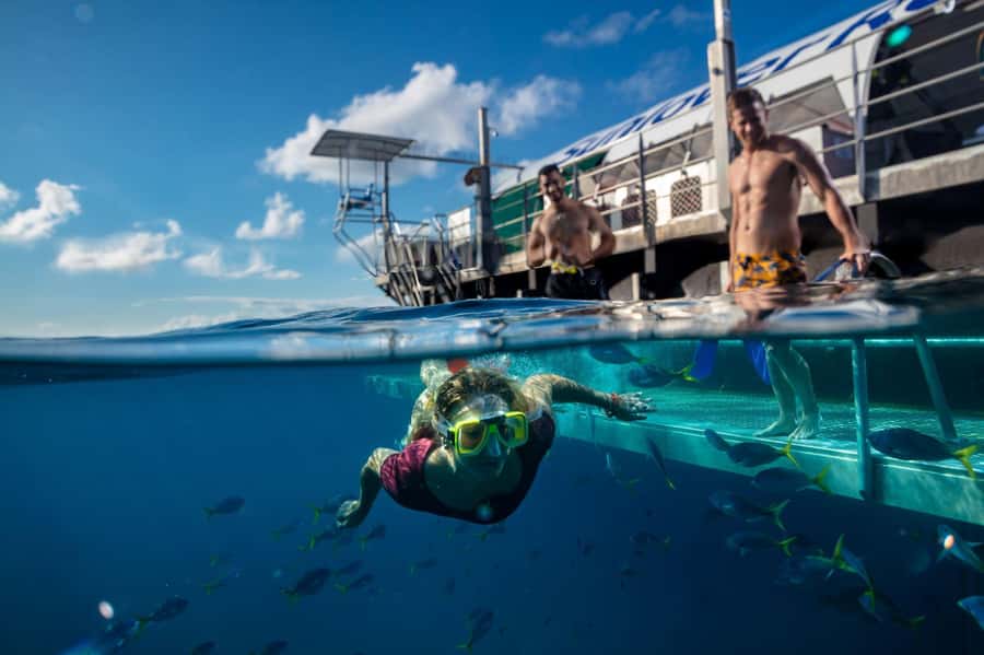 Cairns: Outer Great Barrier Reef Pontoon with Activities - Getting to the pontoon, then choosing your water level