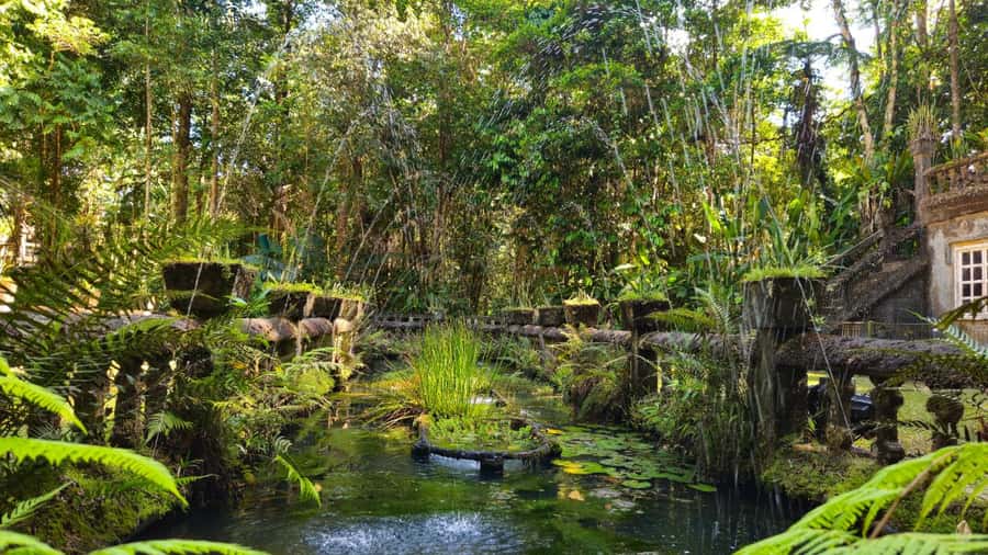Cairns: Paronella, Lake Barrine & Millaa Millaa Falls Tour - Key reasons this tour works so well