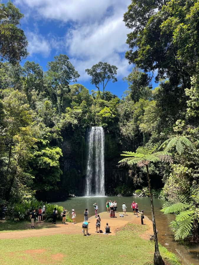 Cairns: Paronella, Lake Barrine & Millaa Millaa Falls Tour - Babinda Boulders: A Final Water Break If Time Allows