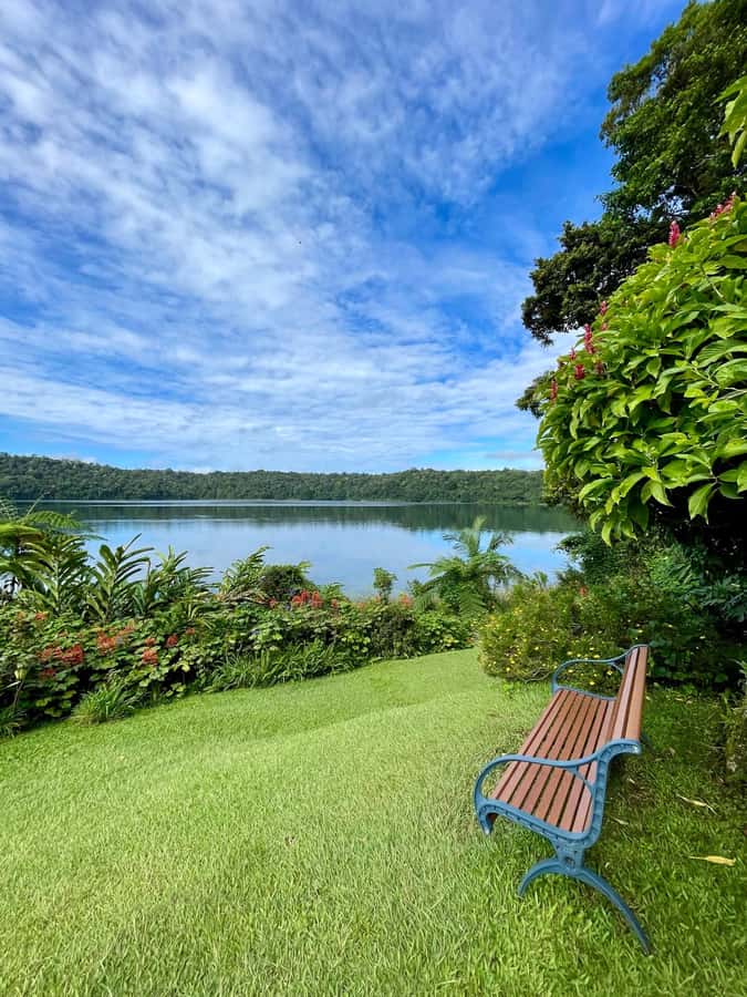 Cairns: Paronella, Lake Barrine & Millaa Millaa Falls Tour - Price and Value: What $124 Buys You in a Long, Full Day