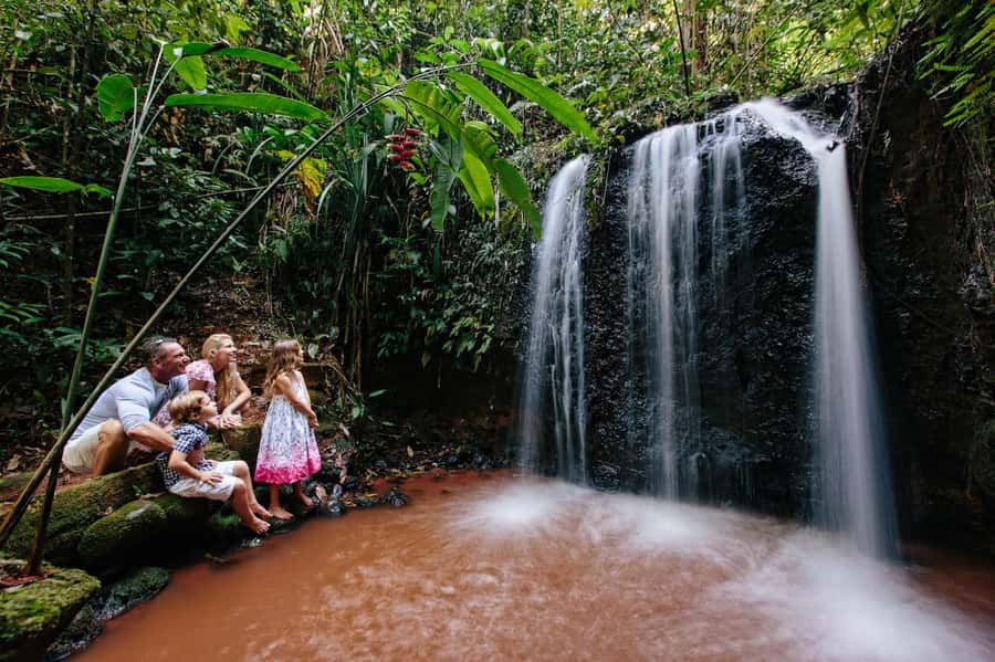 Cairns: Paronella Park Ticket - Getting there from Cairns: self-drive is the real gatekeeper