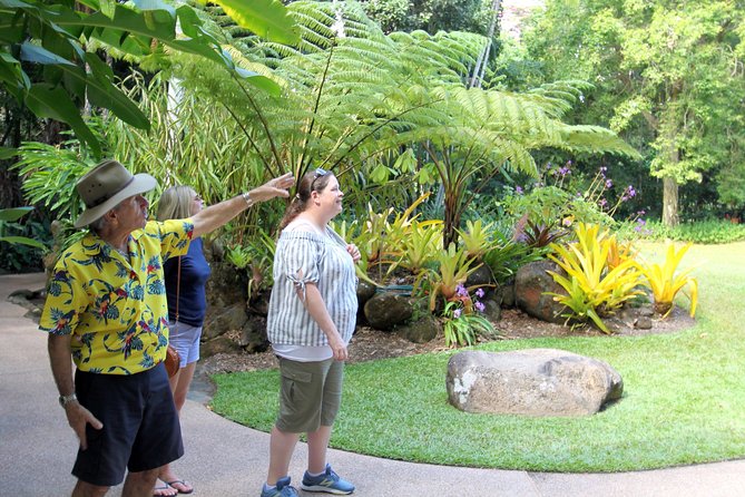 Cairns Shore Excursion: Cairns City Sights & Surrounds Tour - Price and pacing: is $78.09 good value for Cairns?