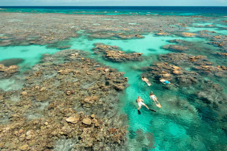 Cairns: Silverswift 3 Great Barrier Reef Sites in 1 Day - Reef Stations and What Makes Each One Worth Your Time