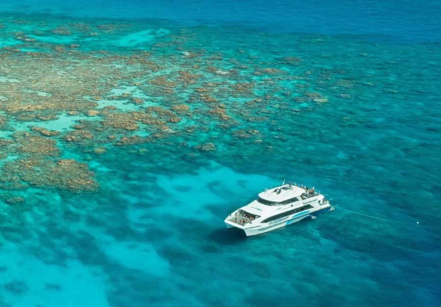 Cairns: Silverswift 3 Great Barrier Reef Sites in 1 Day - Snorkeling Equipment and the Small Stuff That Makes It Work