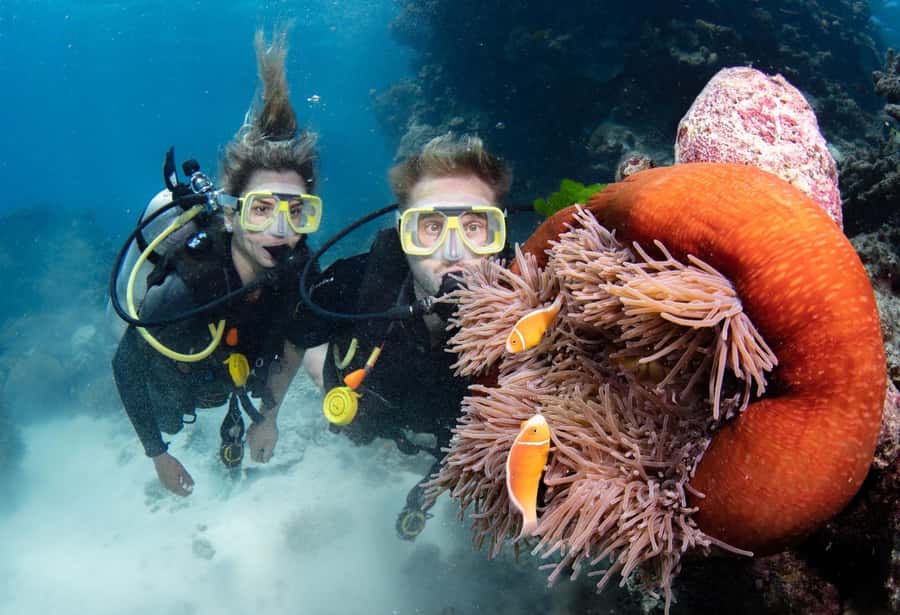 Cairns: Silverswift 3 Great Barrier Reef Sites in 1 Day - Who Should Book This Outer Reef Day From Cairns