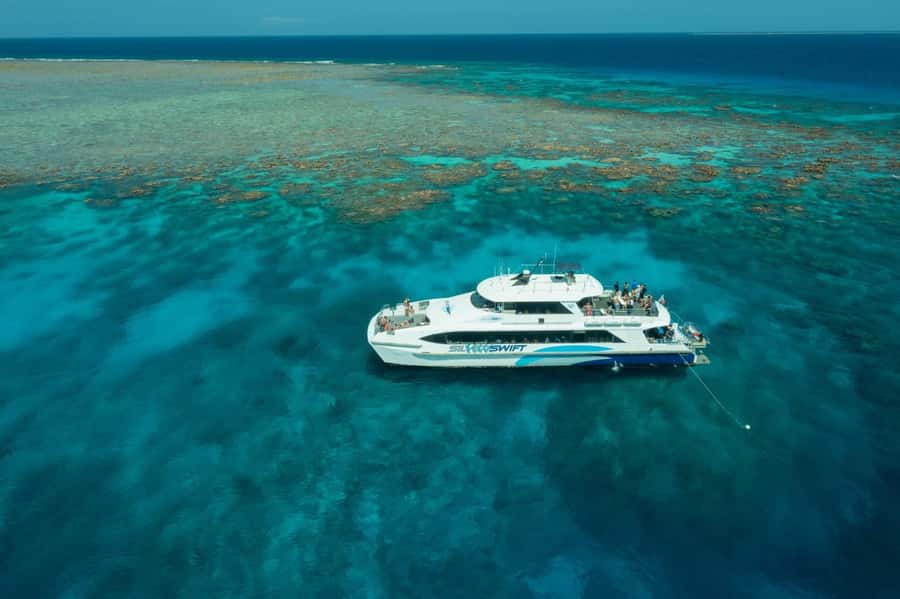 Cairns: Silverswift 3 Great Barrier Reef Sites in 1 Day - Your Day at Sea: The 8-Hour Flow That Keeps You Moving