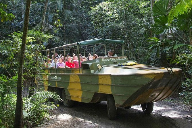 Cairns Small-Group Kuranda Tour: Skyrail & Scenic Railway - Getting picked up: the van ride, the guide, and how the day stays on schedule