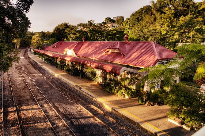 Cairns Small-Group Kuranda Tour: Skyrail & Scenic Railway - Who this tour suits best, and who might prefer to do it solo