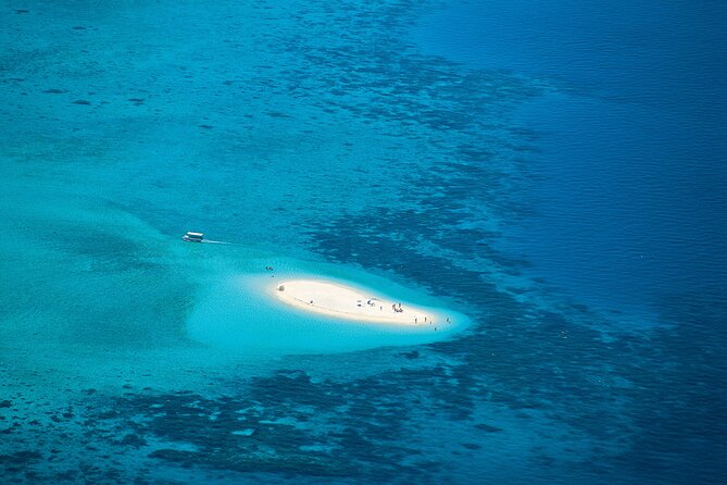Cairns: Small Group | Outer Reef Snorkel & Dunk Island - Why the outer reef off Mission Beach feels like the main event