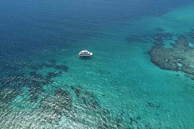 Cairns: Small Group | Outer Reef Snorkel & Dunk Island - Beaver Reef snorkeling: two sessions, guided safaris, and better chances to spot wildlife