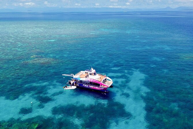 Cairns: Small Group | Outer Reef Snorkel & Dunk Island - Crew and small-group rhythm: why a 29-person cap makes a difference