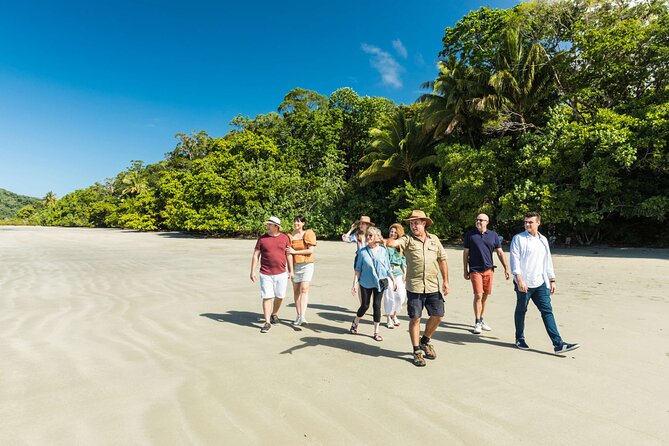 Cairns Super Saver: Reef Cruise, Daintree & Kuranda Rail/Skyrail - The value case: why this combo works at $423.17
